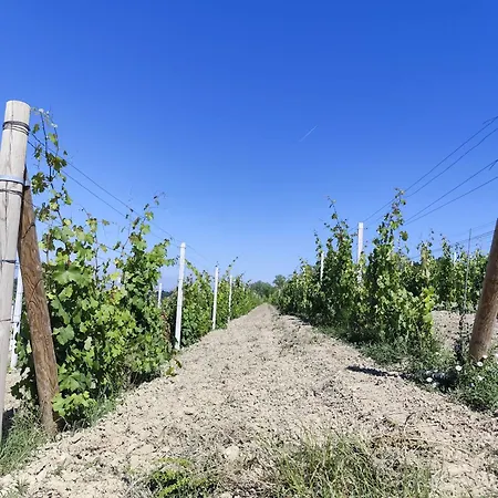 בית נופש La Casa Blu Calliano (Piedmont)