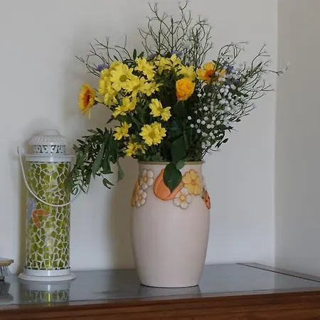 La Casa Blu Tatil Evi *