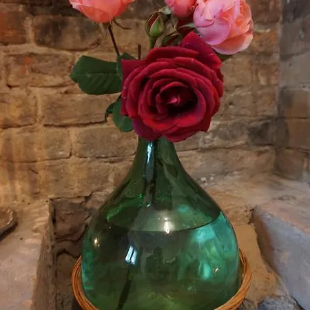 La Casa Blu * Calliano (Piedmont)