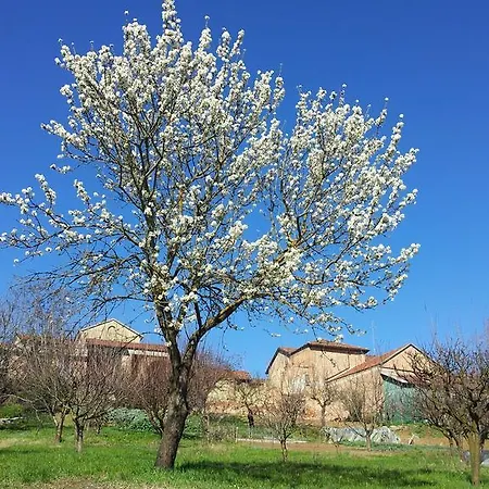 La Casa Blu Сasa de vacaciones Calliano (Piedmont)
