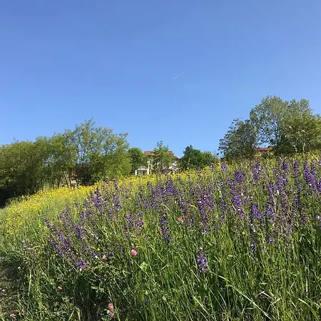 La Casa Blu * Calliano (Piedmont)